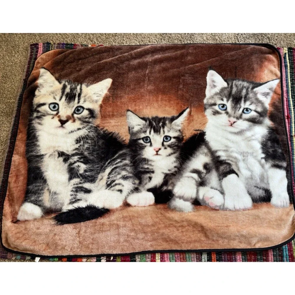 Three Cats Kittens Plush Throw Blanket Polyester 4’ 10” X 3’ 9” Double Sided